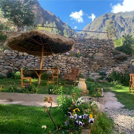 Inka Khawarina Tambo Lodge Ollantaytambo Exteriör bild