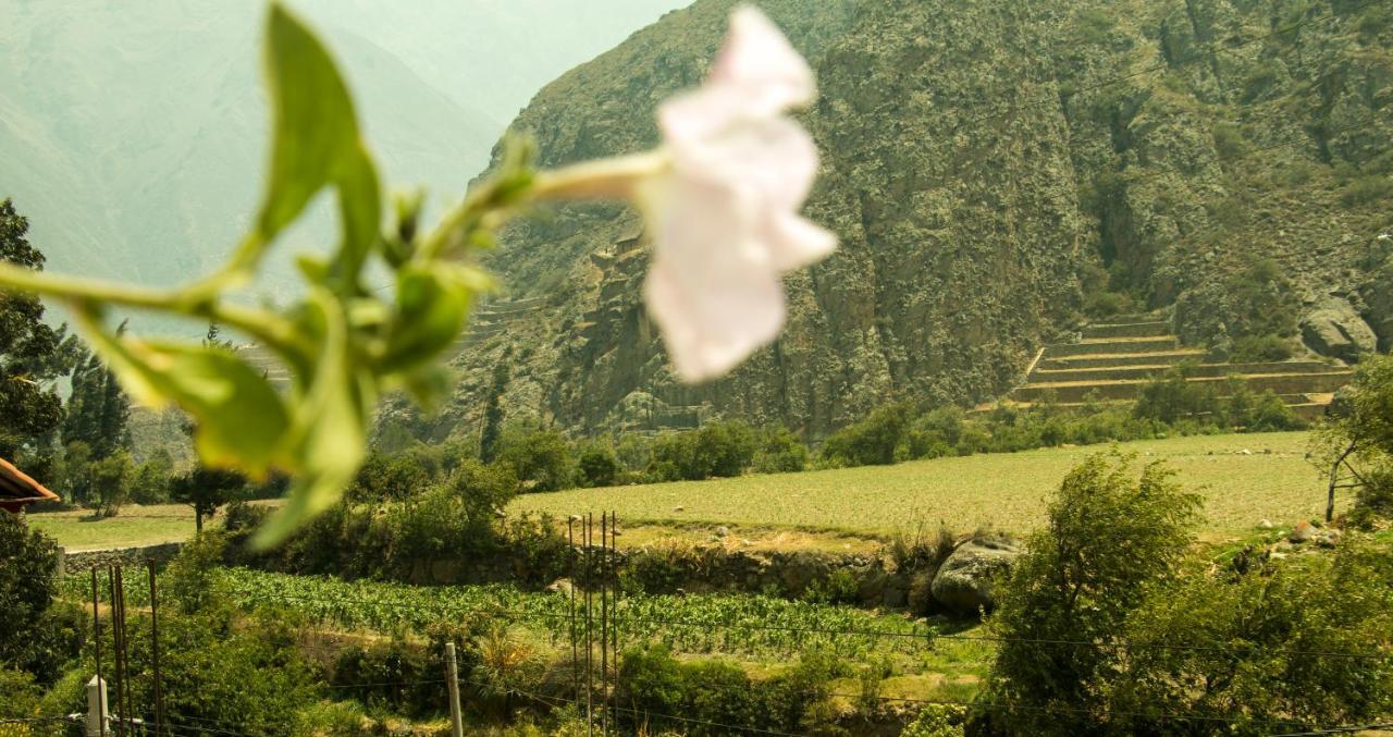 Inka Khawarina Tambo Lodge Ollantaytambo Exteriör bild